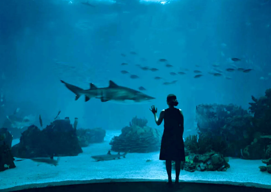 oceanarium of the Indian Ocean