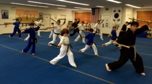 Read more about the article Top Six Reasons to Take Adult Karate Classes