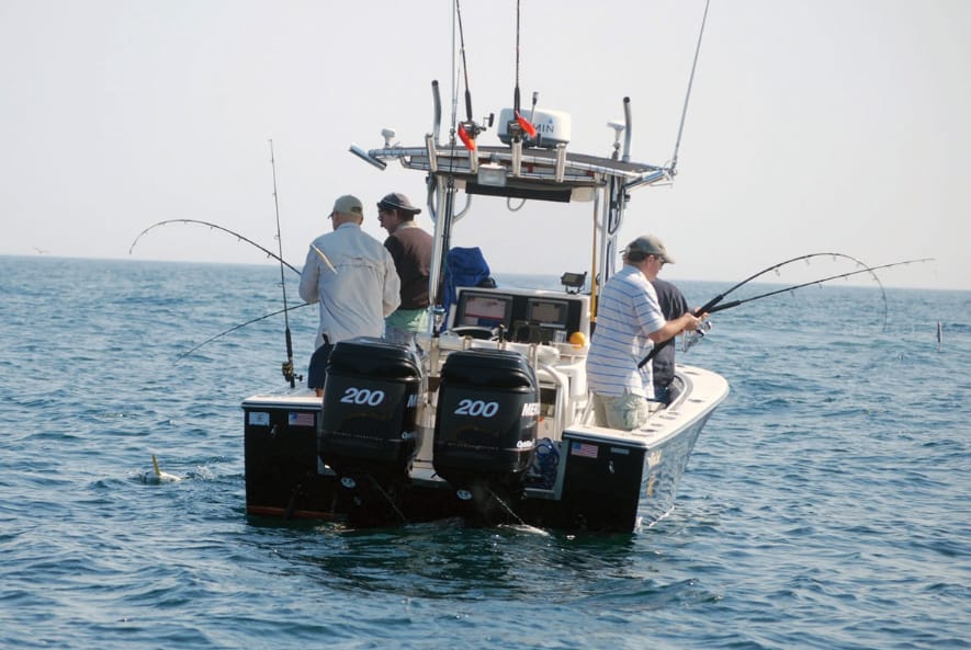 Read more about the article Get Hooked: How to Choose the Perfect Fishing Charters