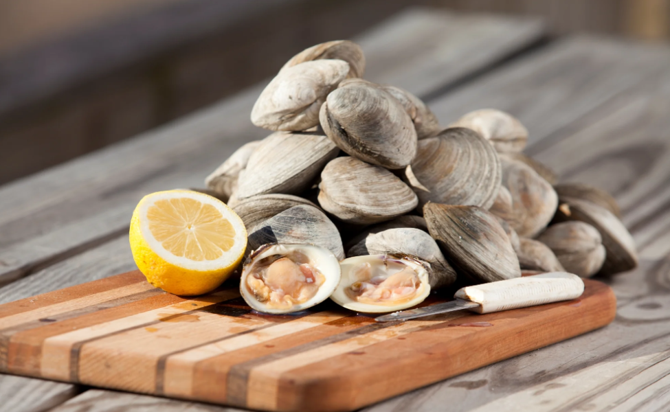 You are currently viewing Why Clams In New Zealand Can Be A Nutritious Dietary Choice